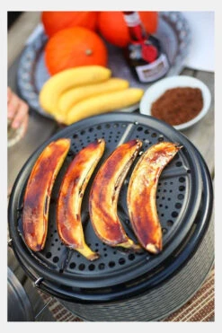 Cobb Premier Barbecue Alu Zonder Tas -Winkel Voor Buitensportartikelen mecae00018 7215 04 nl