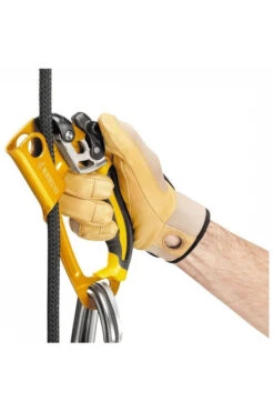 Petzl Ascension Stijgklem -Winkel Voor Buitensportartikelen scajc52004 2626 03 nl